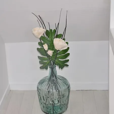 Apartment Un Cocon En Centre-ville