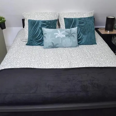 Apartment Un Cocon En Centre-ville *